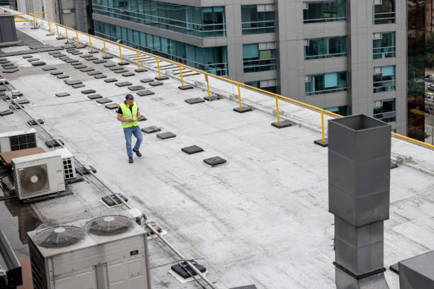 Best Solar Panel Roofing Installation  in Port Barrington, IL